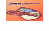Lab biosafety guides