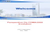 Perspective on cdma2000 evolution (ZTE Corporation)