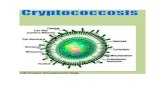 Cryptococcosis main doc