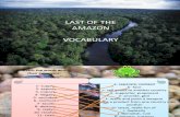 Last of the Amazon Vocabulary