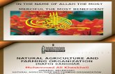 Natural Agriculture and Farming Organization NAFO
