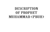 Description of Prophet Muhammad (pbuh)