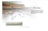 Profile, Patin International