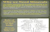 Why we Need Minerals