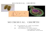 Microbial Growth(2)