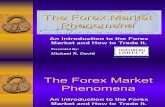 FMG_An Introduction to the Forex Market and How to Trade It_04_11_2011