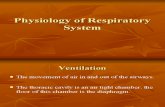 Respiratory Health Assessment