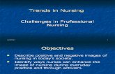 01Challenges in Professional Nursing