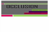 op report - occlusion