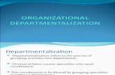 ORGANIZATIONAL DEPARTMENTALIZATION