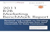 2011 B2B Marketing Benchmark Report (Excerpt)