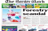 Forestry Scandal
