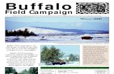 Buffalo Field Campaign 2000 Newsletter