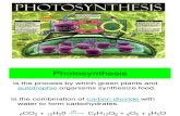 Botany 102 ( Lab ) - Photosynthesis