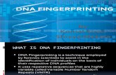 Dna Fingerprinting 1