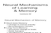 ~B22 Neural Mechanisms of Learning & Memory