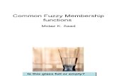 Common Fuzzy Membership Functions