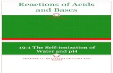 19 Reactions of Acids and Bases