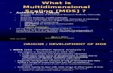 What is Multidimensional Scaling (UW)