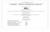 Report on SAP