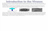 Introduction to Viruses 2
