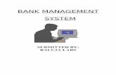 Project Document Ion on Bank Management
