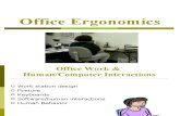 Office Ergonomics 2005