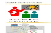 Digestion Physiology a&p II