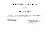 Maths 101 Term Paper