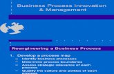 Business Process Innovation and Management