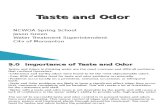 17243153 Taste and Odor