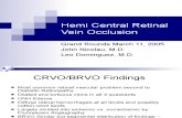 Hemi Central Retinal Vein Occlusion