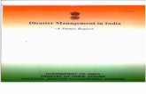 Disaster Management India Status Report August 2004