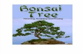 Bonsai Tree Trimming Sculpting Pruning 1