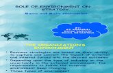 Role of Environment on Strategy