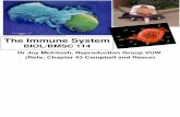 2010 Joy's 114 Lecture 4 the Immune System