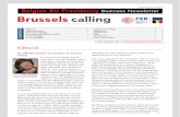 Brussels calling, Belgian EU Presidency, Business Newsletter, 04/10/2010, Issue 4