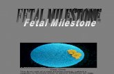 Fetal Milestone