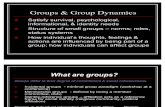 Lecture 11 Group & Group Dynamics