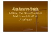 The Boston Matrix PPT