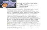 Miraculous Messages From Water_Emoto