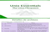 Linux File System (1)