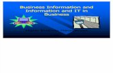 Business Information and Information and IT in Business v3