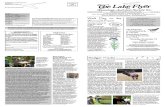October-November 2009 Lake Flyer Newsletter Winnebago Audubon Society