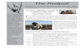 March 2007 Redpoll Newsletter Arctic Audubon Society