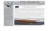 October 2007 Redpoll Newsletter Arctic Audubon Society