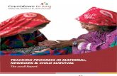 Tracking Progress in Maternal Newborn and Child Survival the 2008 Report_2