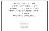 A Com Pars Ion of Private and Public Bank