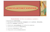 Circulatory System Phki [Compatibility Mode]