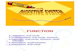 Digestive System Phki [Compatibility Mode]